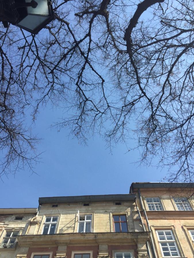 Vysoka Khata Lviv Exteriör bild